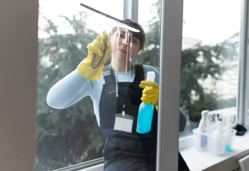 Nettoyage de vitres intérieures et extérieures à Trépail